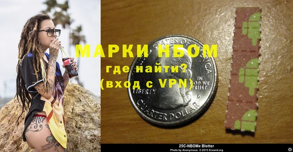соль ск Алзамай