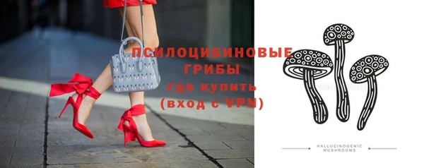 соль ск Алзамай