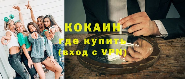 стафф Алексин