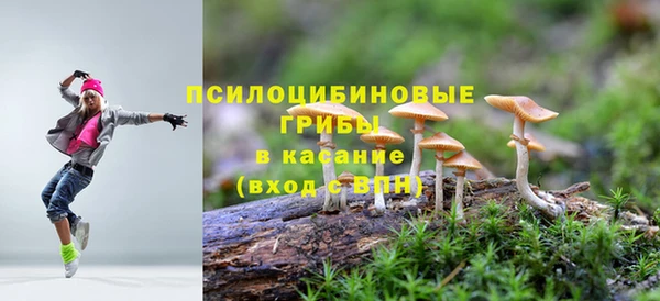 соль ск Алзамай