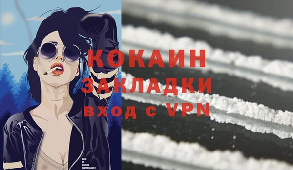 шишки Ростов