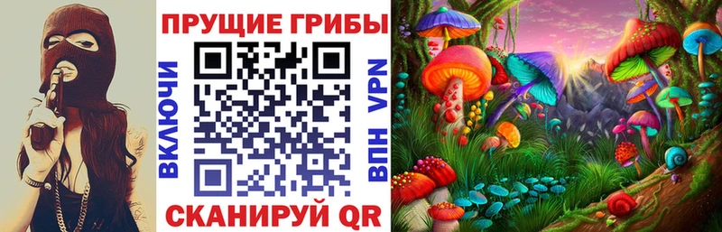 где можно купить Ижевск Псилоцибиновые грибы Cubensis