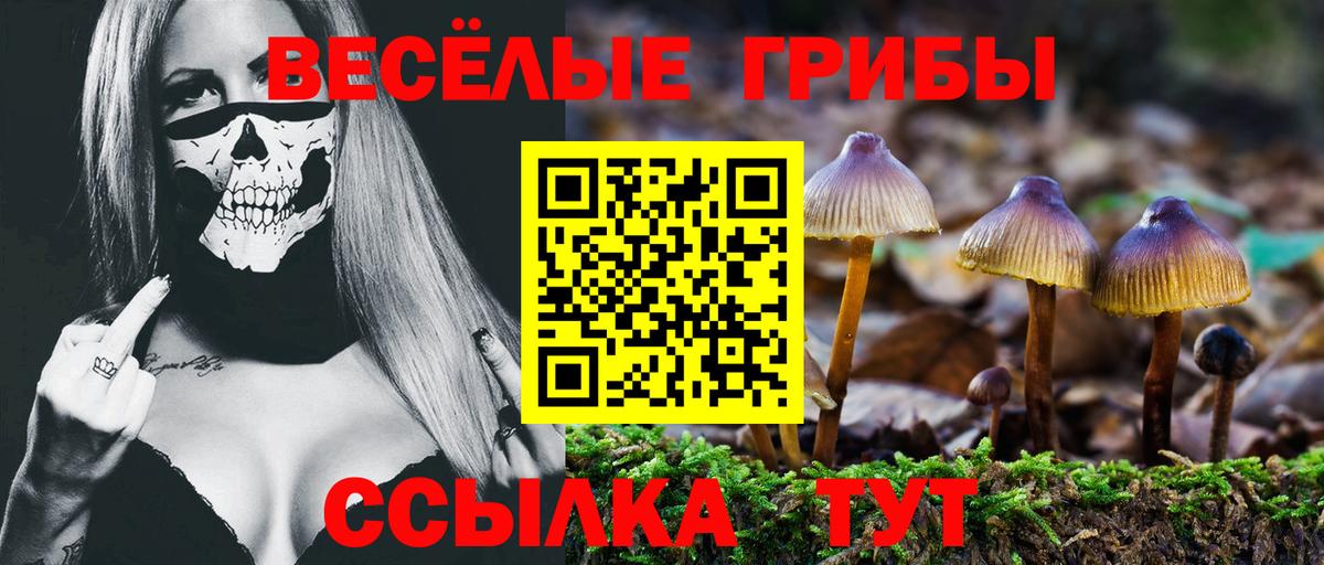 Галлюциногенные грибы GOLDEN TEACHER  Галлюциногенные грибы мицелий  Вход с VPN  Ижевск 